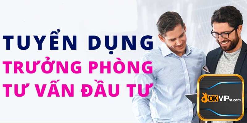 Tuyển Trưởng phòng Đầu tư OKVIP - Lương cao, Cơ hội lớn.jpg